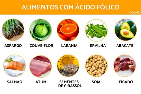 alimentos com ácido fólico